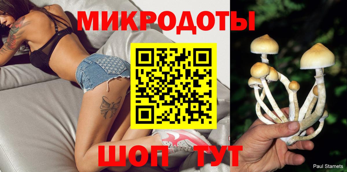 Псилоцибиновые грибы мицелий Дедовск