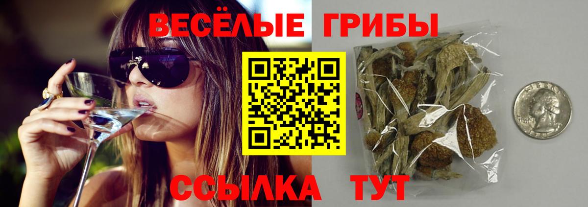 Псилоцибиновые грибы мухоморы  Вход с VPN  Дедовск  Галлюциногенные грибы Psilocybe 